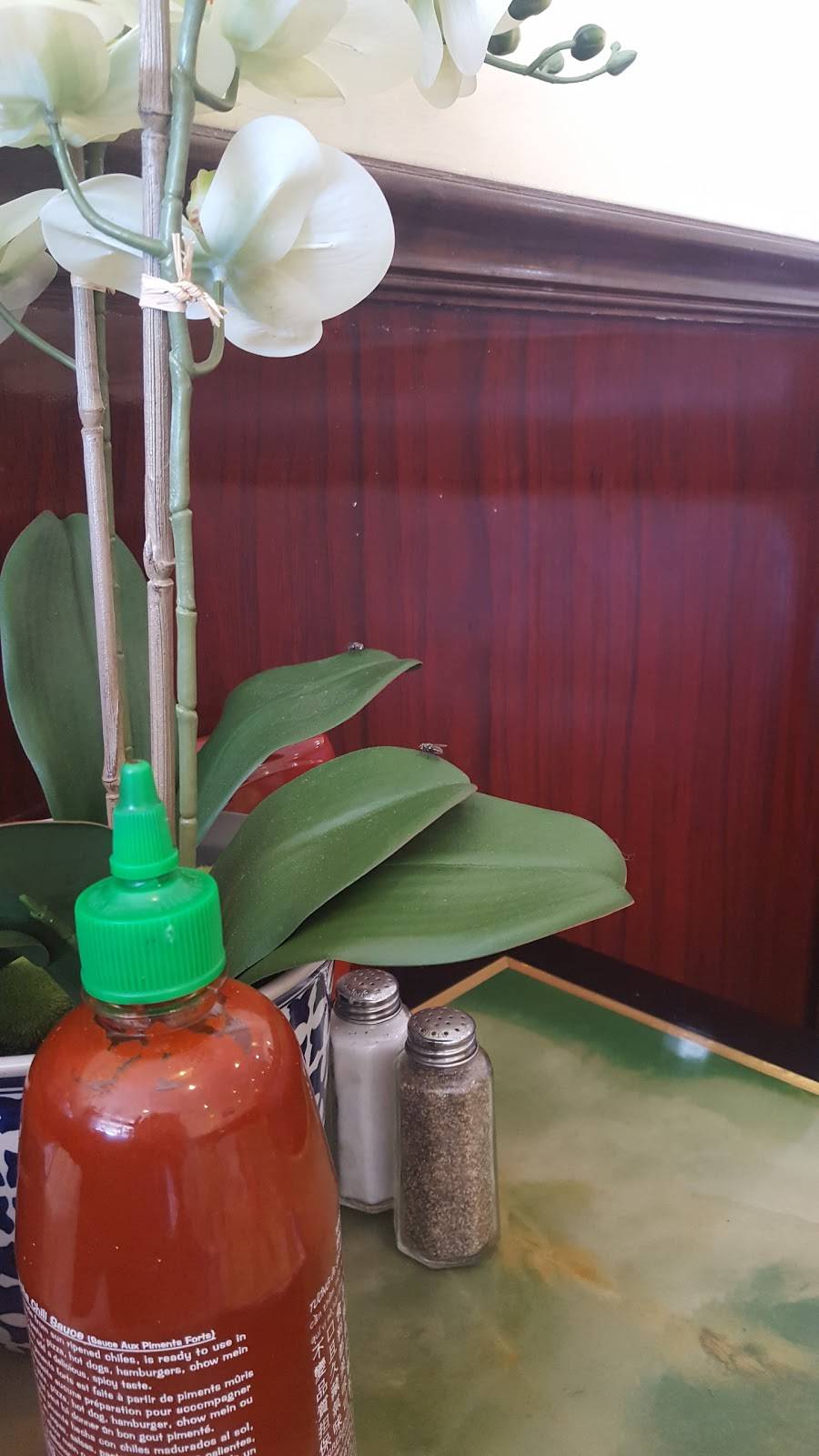 Osaka Express | restaurant | 23 Penn Mart Shopping Center, New Castle, DE 19720, USA | 3023270132 OR +1 302-327-0132