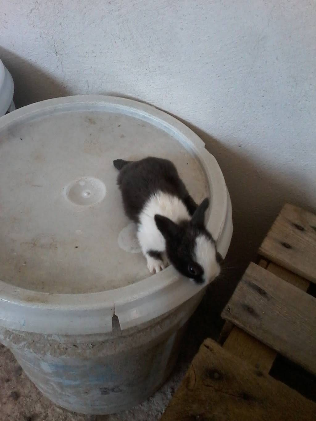 Dairy Queen Grill & Chill | restaurant | 404 W 1st St, Newberg, OR 97132, USA | 5035386112 OR +1 503-538-6112