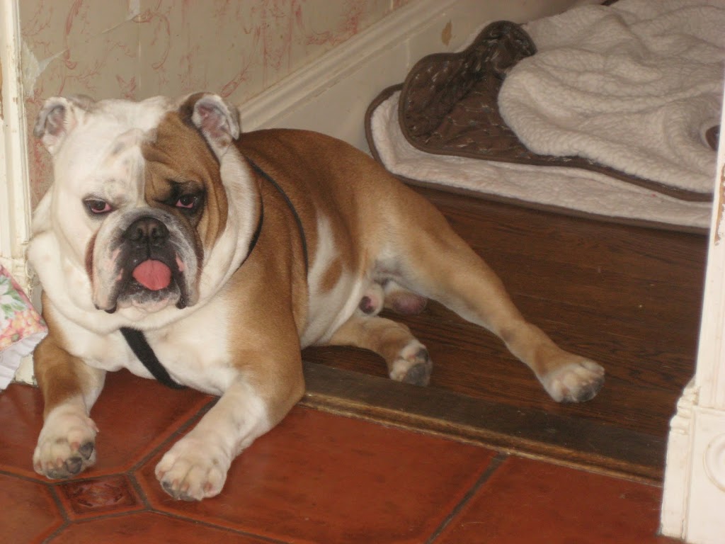 Restaurant Group | restaurant | 522 Columbus Ave, New York, NY 10024, USA | 2125793195 OR +1 212-579-3195