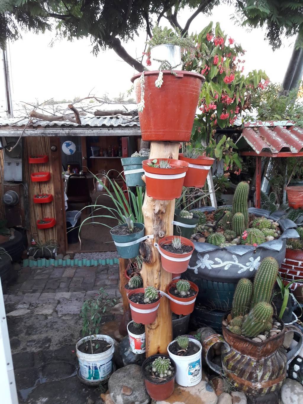 La Cabañita Las Gonzalez | restaurant | San Angel, 22524 Tijuana, B.C., Mexico | 016645253440 OR +52 664 525 3440