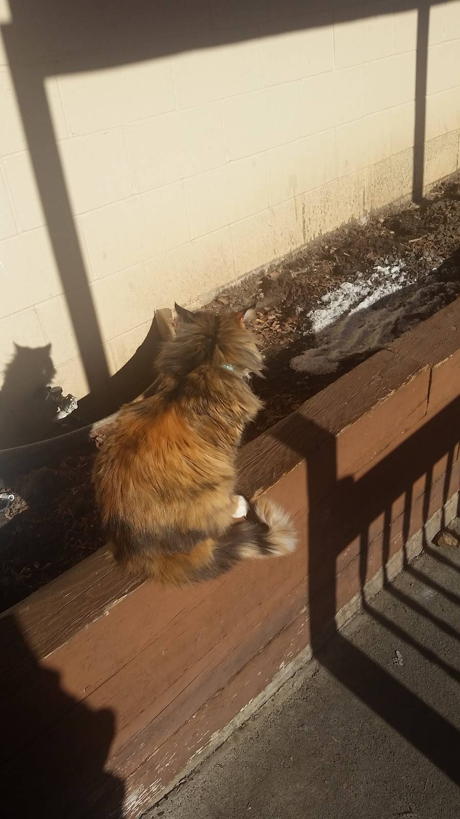 Sit n Chat Diner | restaurant | 428 NJ-23, Franklin, NJ 07416, USA | 9738236386 OR +1 973-823-6386