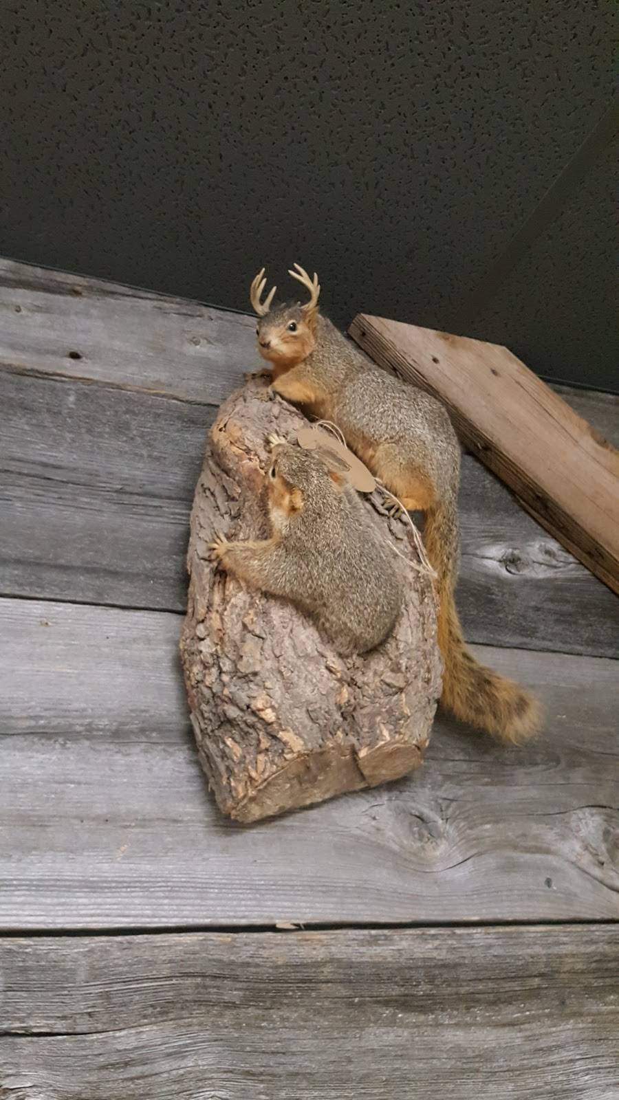 Lunch Box | meal takeaway | 106 E Cayuga St, Bellaire, MI 49615, USA | 2315336678 OR +1 231-533-6678