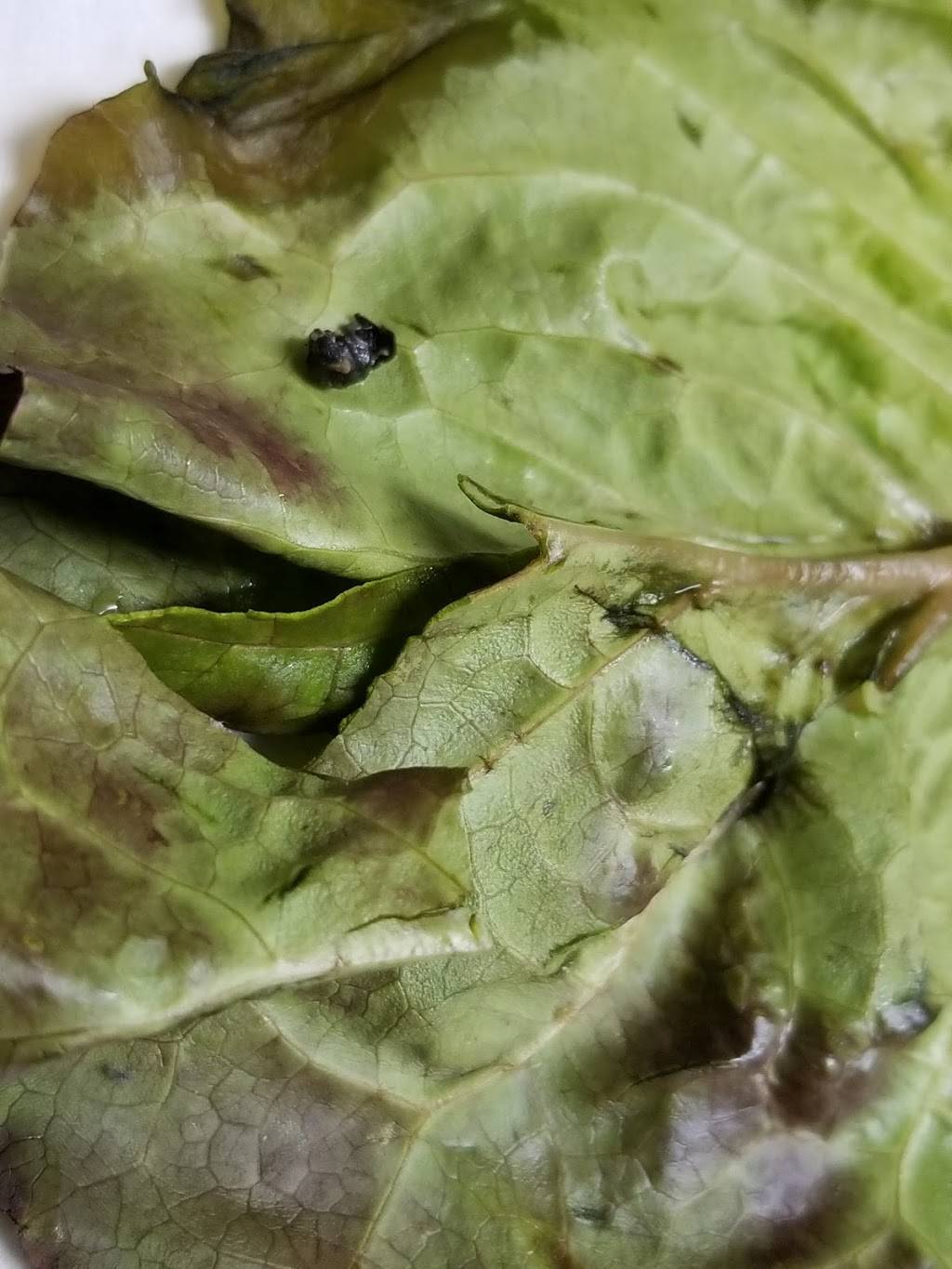 Mapo | restaurant | 3395 El Camino Real, Santa Clara, CA 95051, USA | 4089848005 OR +1 408-984-8005