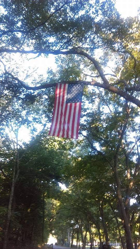 El Tejano | restaurant | 1890 W San Antonio St, New Braunfels, TX 78130, USA | 8306081110 OR +1 830-608-1110