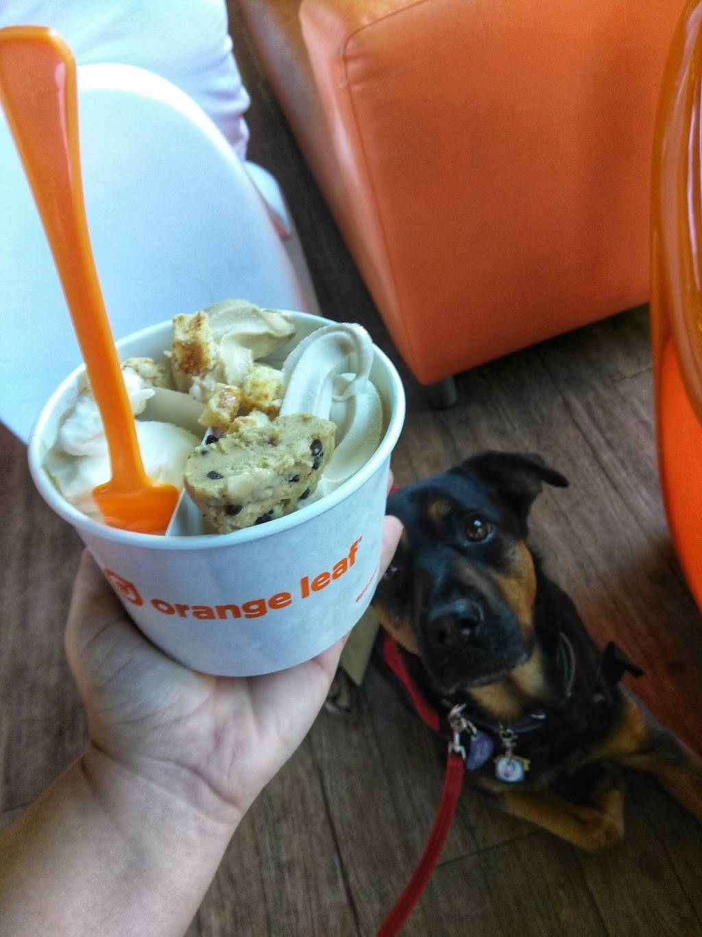 Orange Leaf | restaurant | 118 Mt Calvary Dr Suite 101, San Antonio, TX 78209, USA | 2108298899 OR +1 210-829-8899