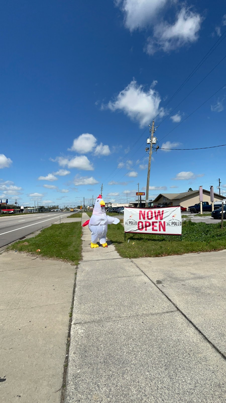 Mr Pollo Pensacola Blvd | restaurant | 8700 Pensacola Blvd, Pensacola, FL 32534, USA | 8502850735 OR +1 850-285-0735