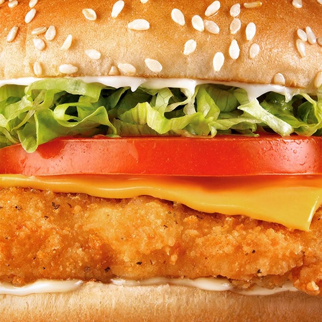 Checkers | restaurant | 2701 E Fletcher Ave, Tampa, FL 33612, USA | 8136151550 OR +1 813-615-1550