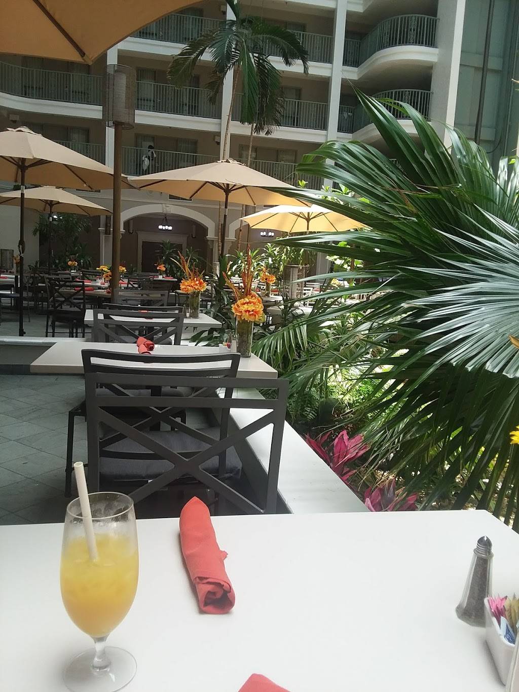 Terrace 555 Restaurant & Bar | restaurant | 555 NW 62nd St, Fort Lauderdale, FL 33309, USA | 9547725400 OR +1 954-772-5400