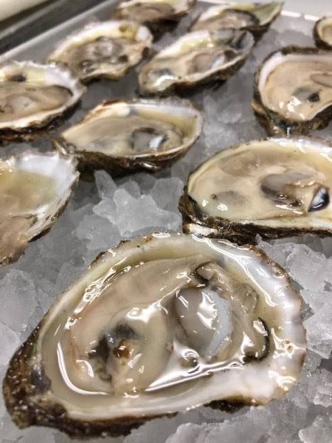 Close Harbour Seafood | restaurant | 959 Meriden-Waterbury Turnpike, Plantsville, CT 06479, USA | 8606217334 OR +1 860-621-7334