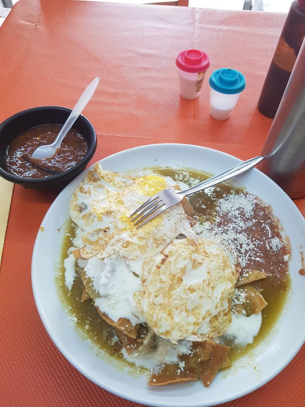 La cabaña de Anita | restaurant | Pso de Los Laureles 92206, El Refugio, Garcia, Redondo, B.C., Mexico | 016641138506 OR +52 664 113 8506