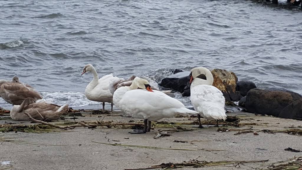 Bayside Marina | meal takeaway | 28-05 Cross Island Pkwy, Bayside, NY 11360, USA | 7182290097 OR +1 718-229-0097