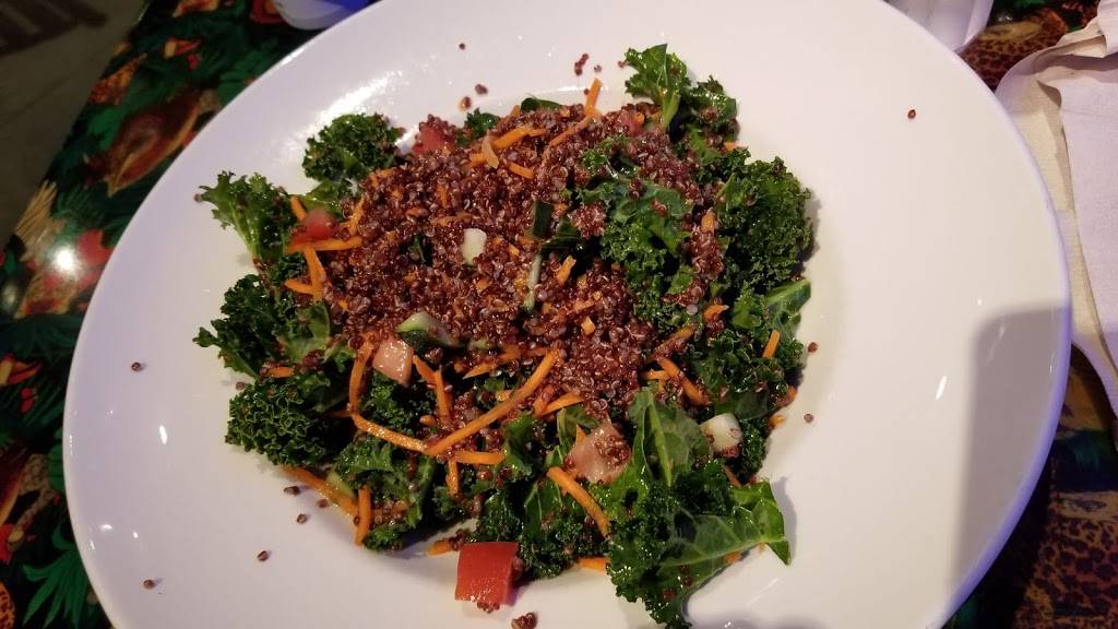 Rainforest Cafe | restaurant | 5310 Seawall Blvd, Galveston, TX 77551, USA | 4097446000 OR +1 409-744-6000