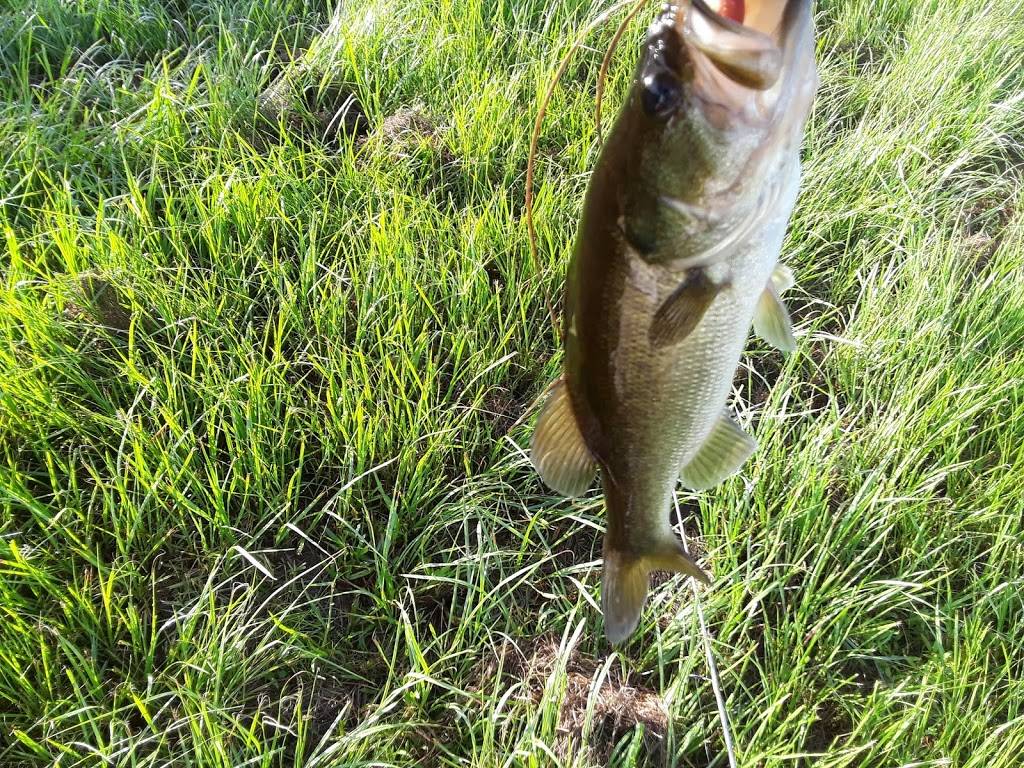 Charleys Philly Steaks | restaurant | 1441 Tamiami Trail Unit 603, Port Charlotte, FL 33948, USA | 9417660005 OR +1 941-766-0005