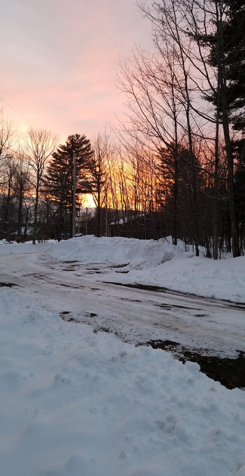 Bear Point Marina, Cabins, Campground and Restaurant | restaurant | Bear Point Rd, Bowerbank, ME 04426, USA | 2075643135 OR +1 207-564-3135