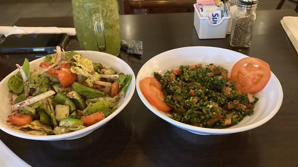 Cafe Layal | restaurant | 207 Gray St a, Houston, TX 77002, USA | 7136510939 OR +1 713-651-0939