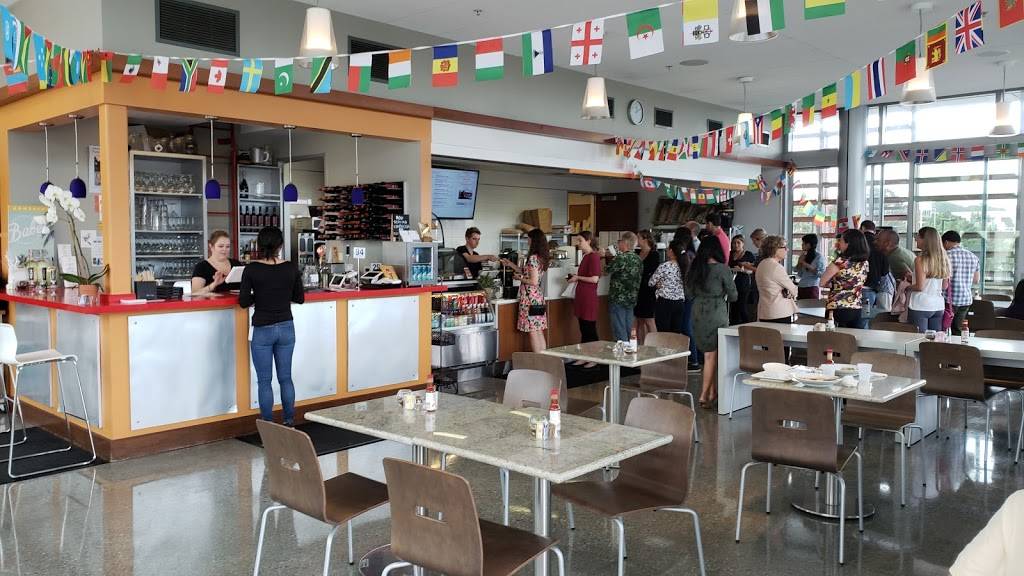 Bella Vista Social Club & Caffe | cafe | 2880 Torrey Pines Scenic Dr, La Jolla, CA 92037, USA | 8585349624 OR +1 858-534-9624