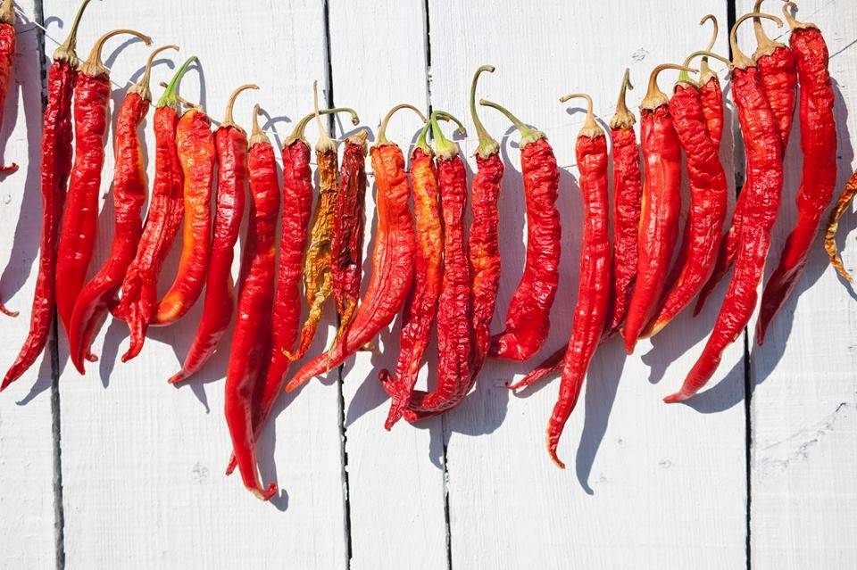 Bodega Taqueria y Tequila | restaurant | 1220 16th St, Miami Beach, FL 33139, USA | 3057042145 OR +1 305-704-2145