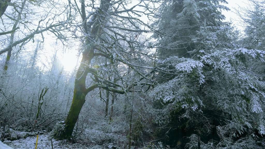 Subway | meal takeaway | 12660 164th Ave SE, Renton, WA 98059, USA | 4252288111 OR +1 425-228-8111