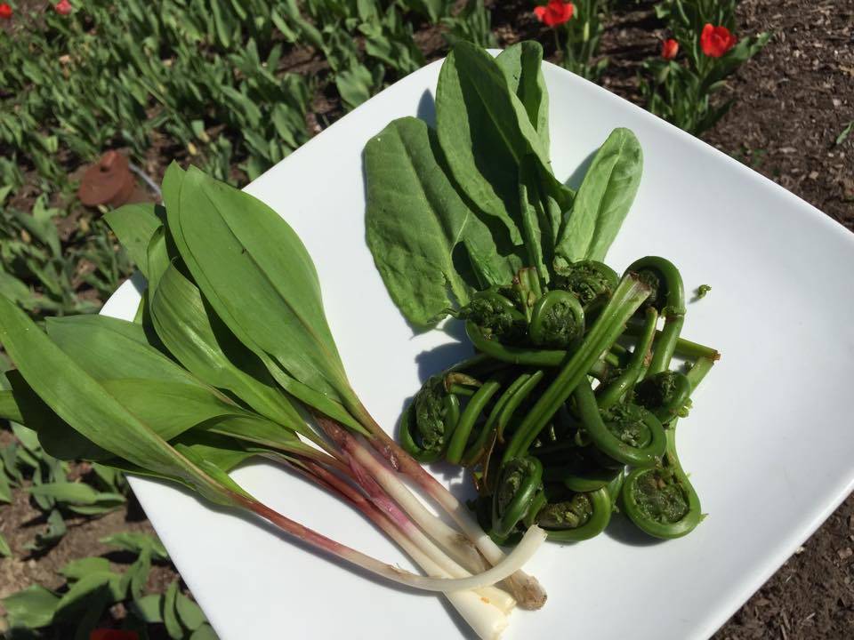 Beardslee Castle | restaurant | 123 Old State Rd, Little Falls, NY 13365, USA | 3158233000 OR +1 315-823-3000