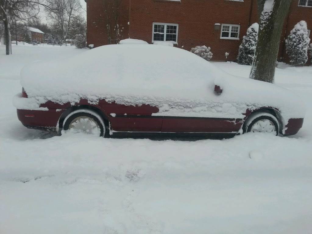 Subway Restaurants | restaurant | 3997 Sheridan Dr Suite 1 Sheridan Harlem Plaza, Amherst, NY 14226, USA | 7166324575 OR +1 716-632-4575