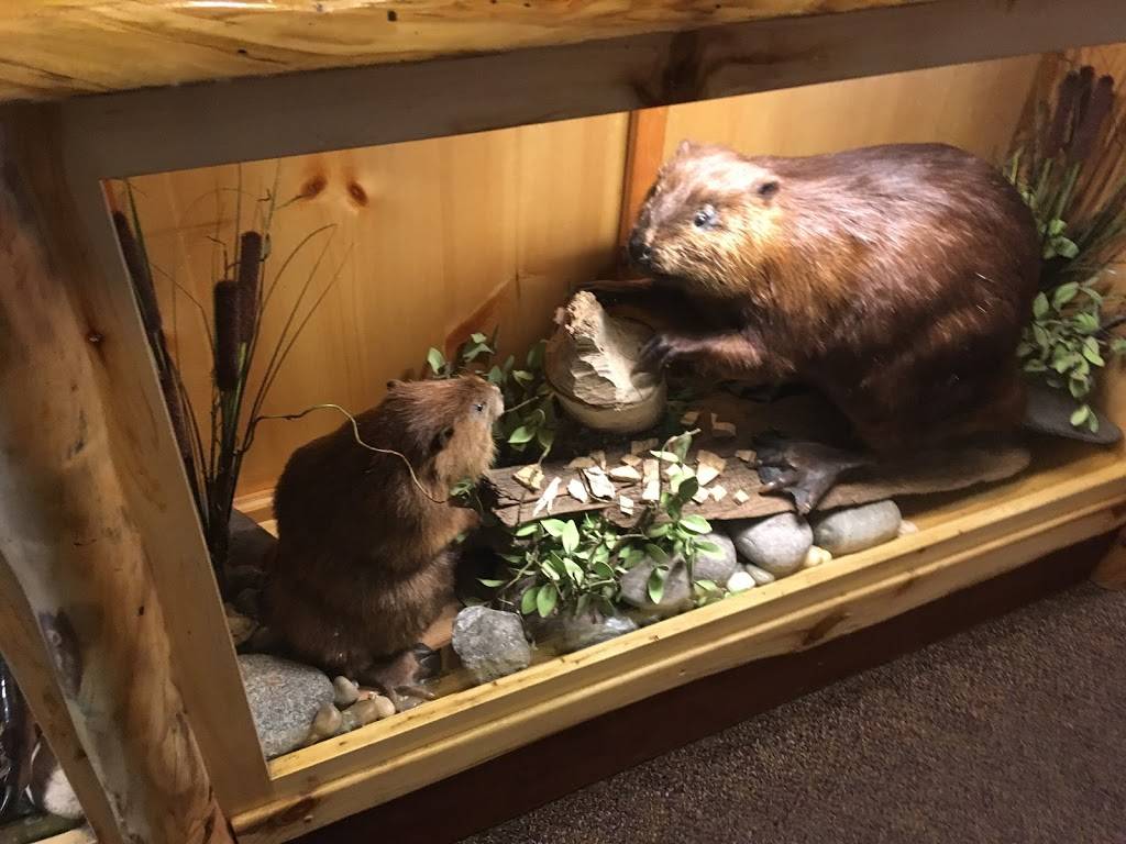 Lewiston Lodge | restaurant | 1525 Fleming Rd, Lewiston, MI 49756, USA | 9897865261 OR +1 989-786-5261