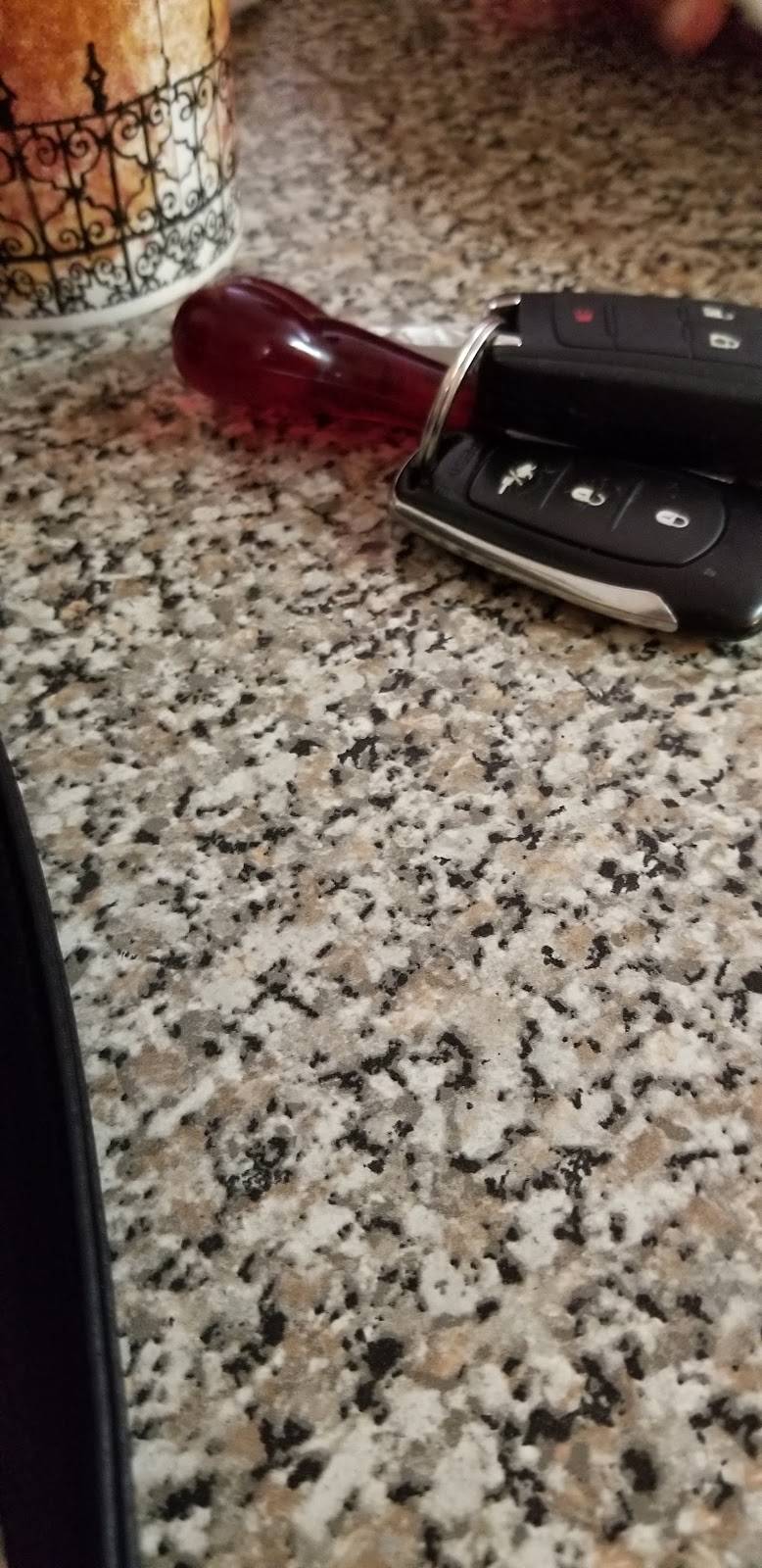 Joes Pizzeria | restaurant | 1121 Liberty Ave, Brooklyn, NY 11208, USA | 7182357373 OR +1 718-235-7373