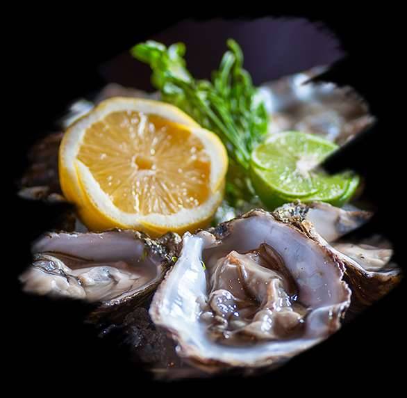 Crab Du Jour - Cajun Seafood | restaurant | 9080 N Green Bay Rd, Milwaukee, WI 53209, USA | 4143555565 OR +1 414-355-5565