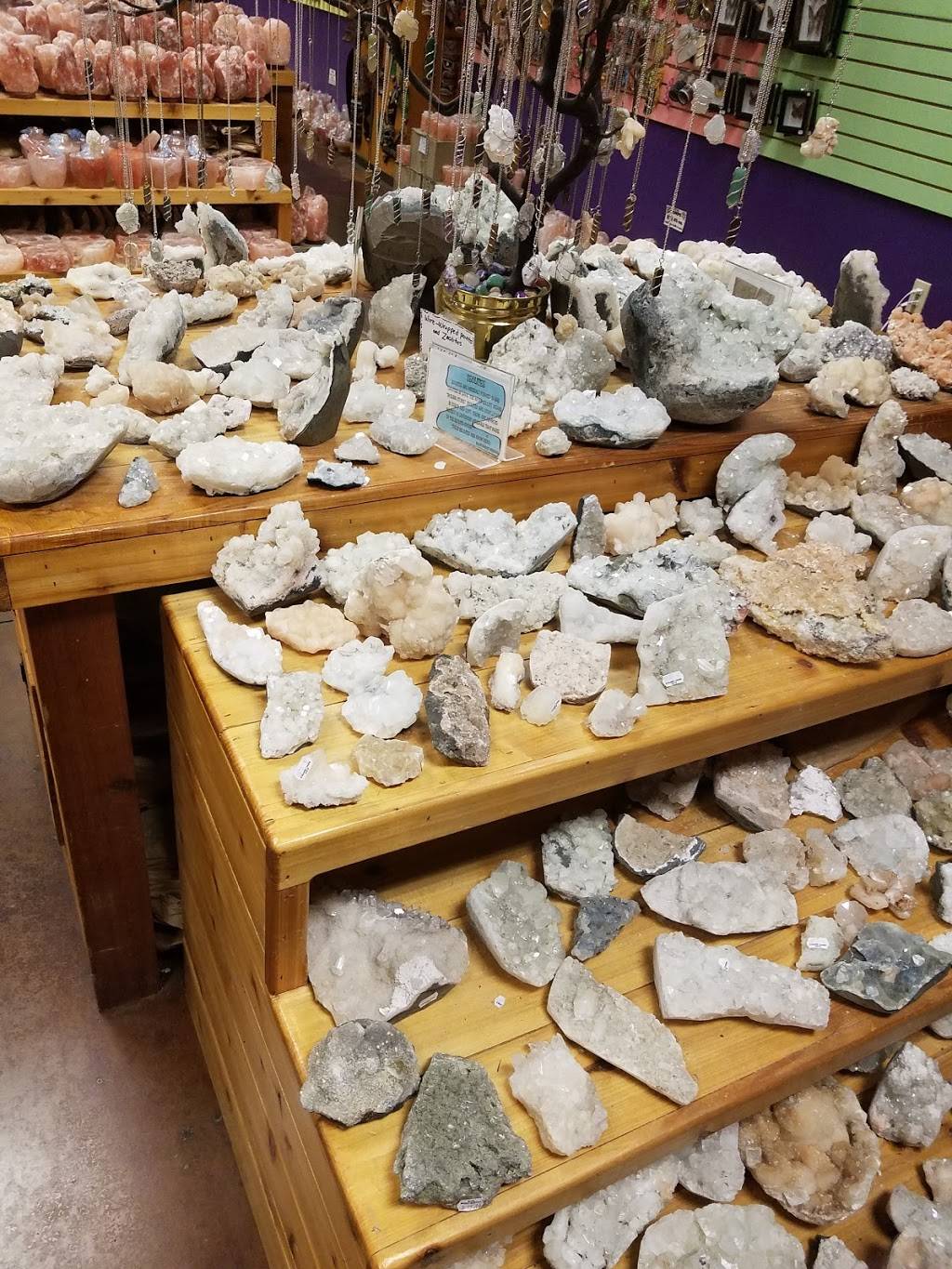 Rainforest Cafe | restaurant | 5000 S Arizona Mills Cir #573, Tempe, AZ 85282, USA | 4807529100 OR +1 480-752-9100