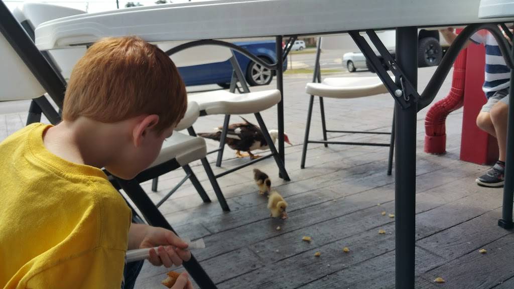 Cook Out | restaurant | 100 15th St E, Tuscaloosa, AL 35401, USA | 2057649654 OR +1 205-764-9654