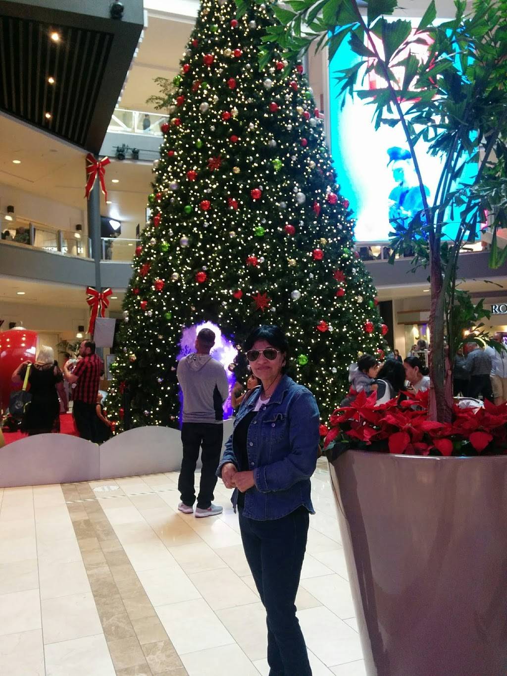 Pioneer Organic Cuisine | restaurant | 8006, 200 E Via Rancho Pkwy, Escondido, CA 92025, USA | 7607399729 OR +1 760-739-9729