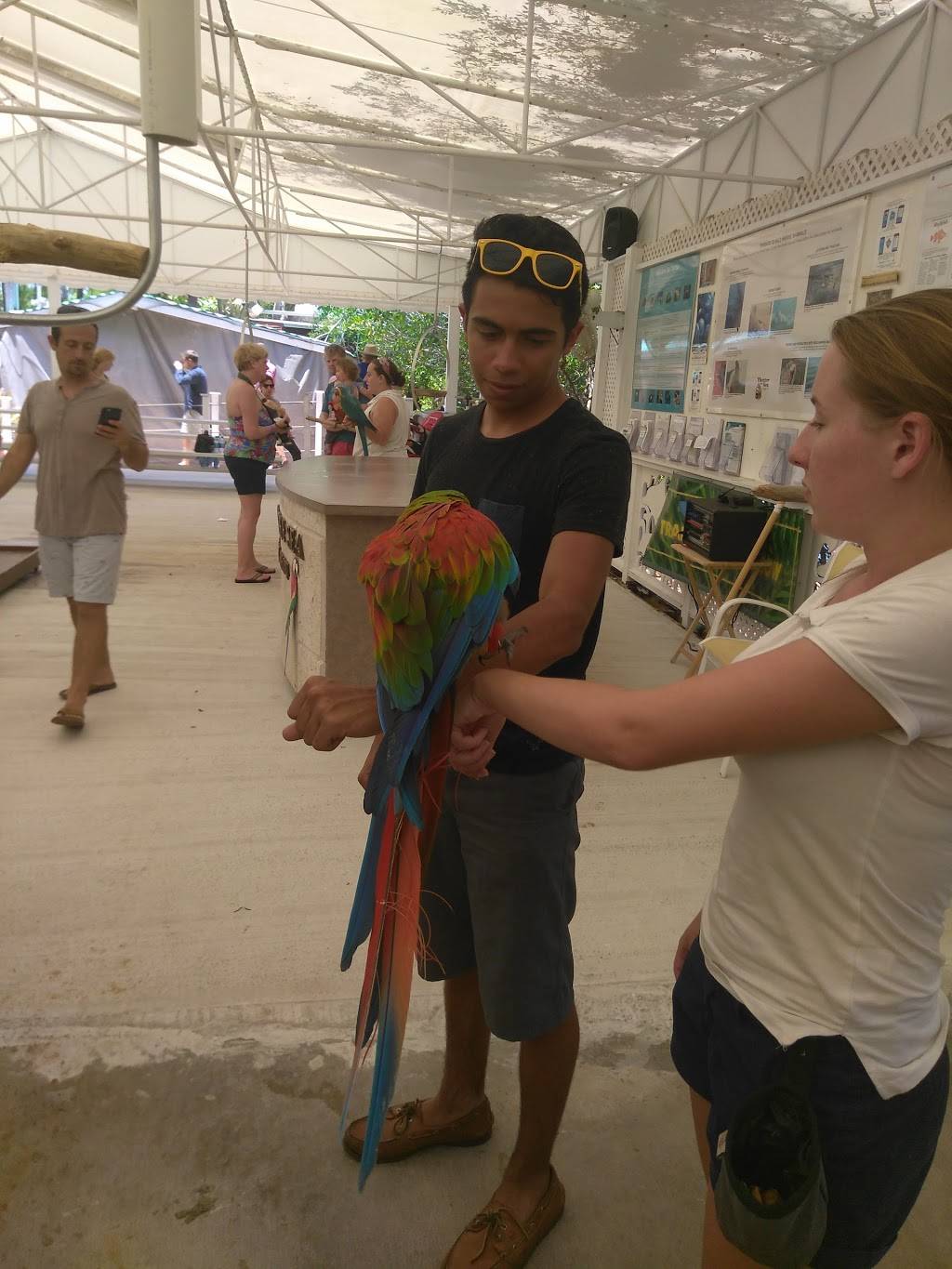 Bistro By the Sea | restaurant | 364 Cards Pond Rd, Wakefield, RI 02879, USA | 4017893030 OR +1 401-789-3030