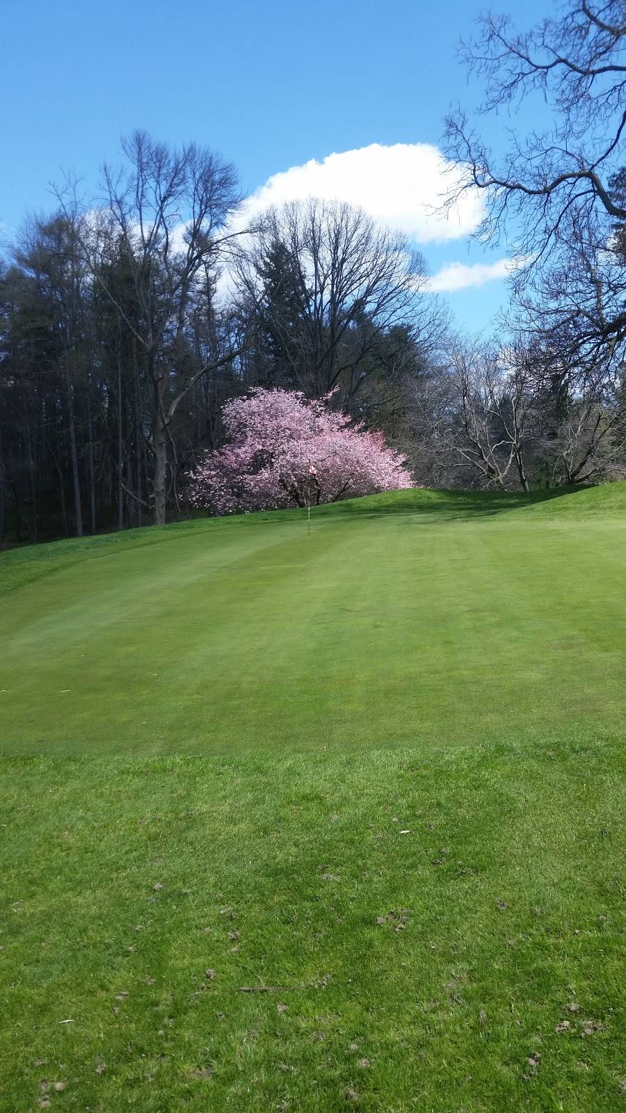 Norfolk Golf & Country Club | restaurant | 200 Argyle St, Simcoe, ON N3Y 1V9, Canada | 5194261300 OR +1 519-426-1300