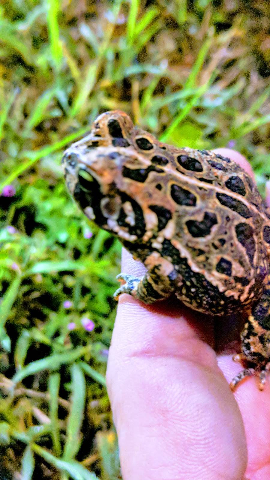 Applebees Grill + Bar | restaurant | 22873 Sussex Hwy, Seaford, DE 19973, USA | 3026280756 OR +1 302-628-0756