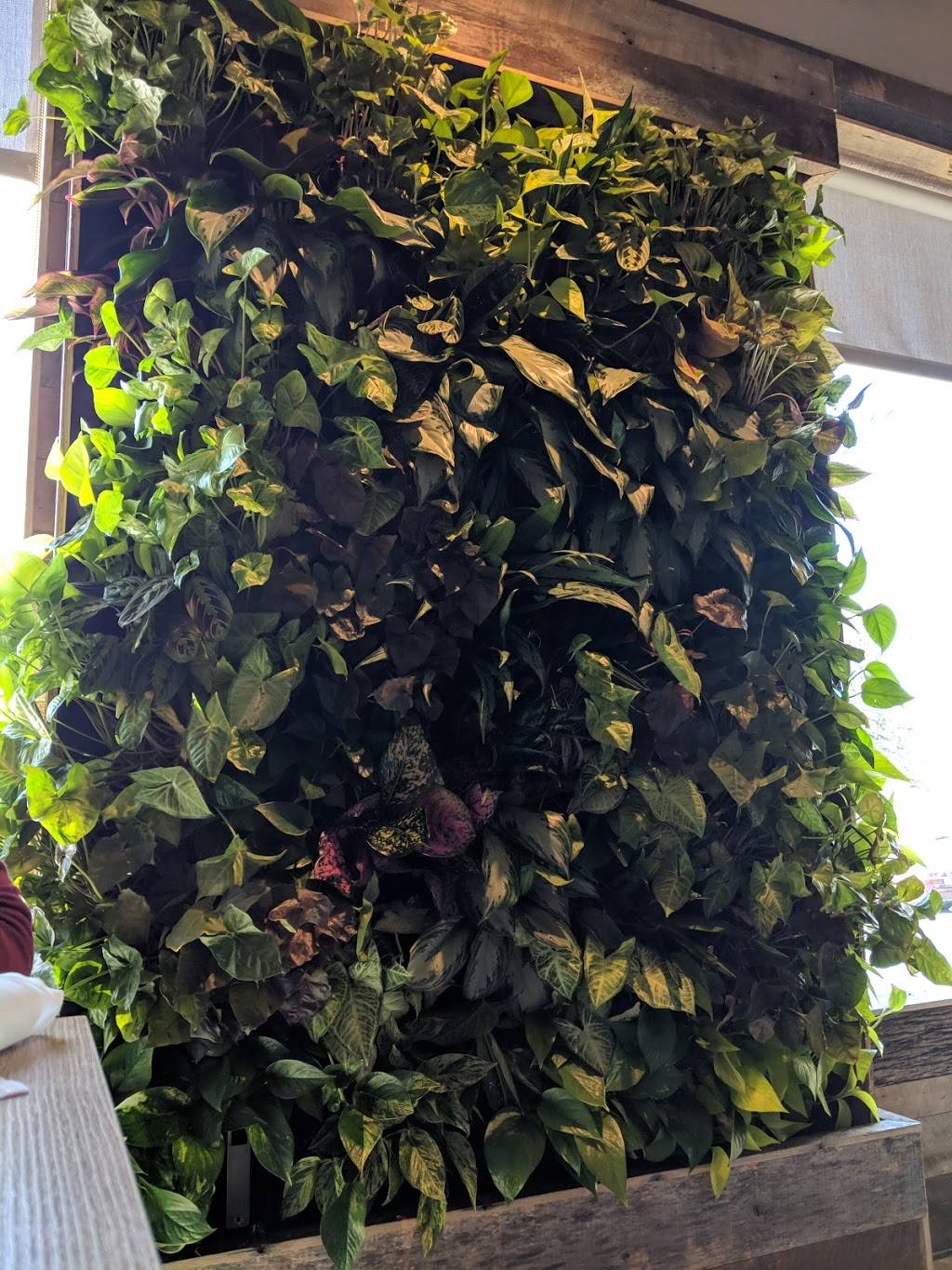 Central Public House | restaurant | 42 Main St, Hopkinton, MA 01748, USA | 5086252570 OR +1 508-625-2570