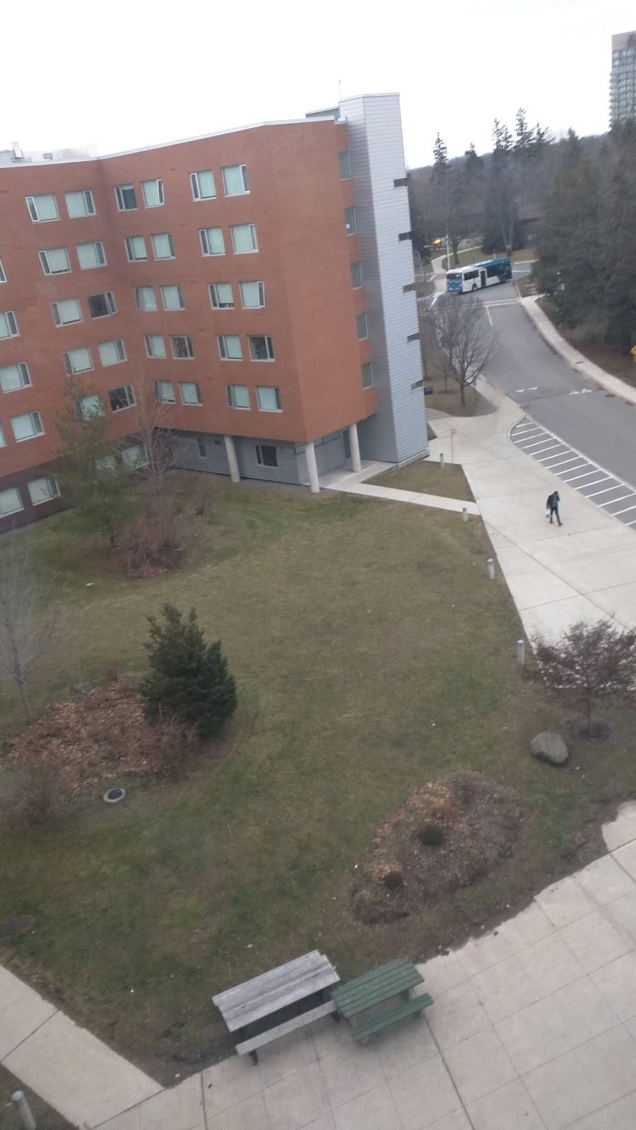 Colman Commons | restaurant | Mississauga, ON L5L 6A2, Canada | 9058285209 OR +1 905-828-5209