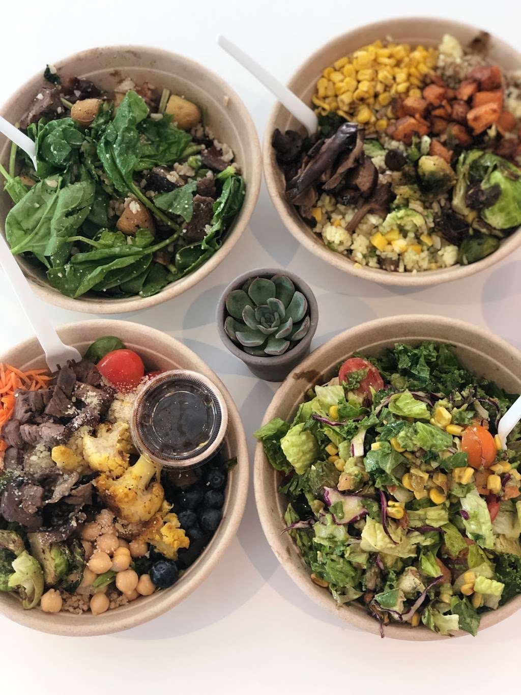 green fetish | restaurant | 301 E McBee Ave, Greenville, SC 29601, USA | 8644127982 OR +1 864-412-7982