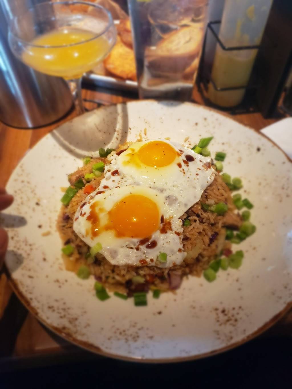 Lazy Dog Restaurant & Bar | restaurant | 7605 North Academy Boulevard Market At Chapel Hill, East, Colorado Springs, CO 80920, USA | 7194455851 OR +1 719-445-5851