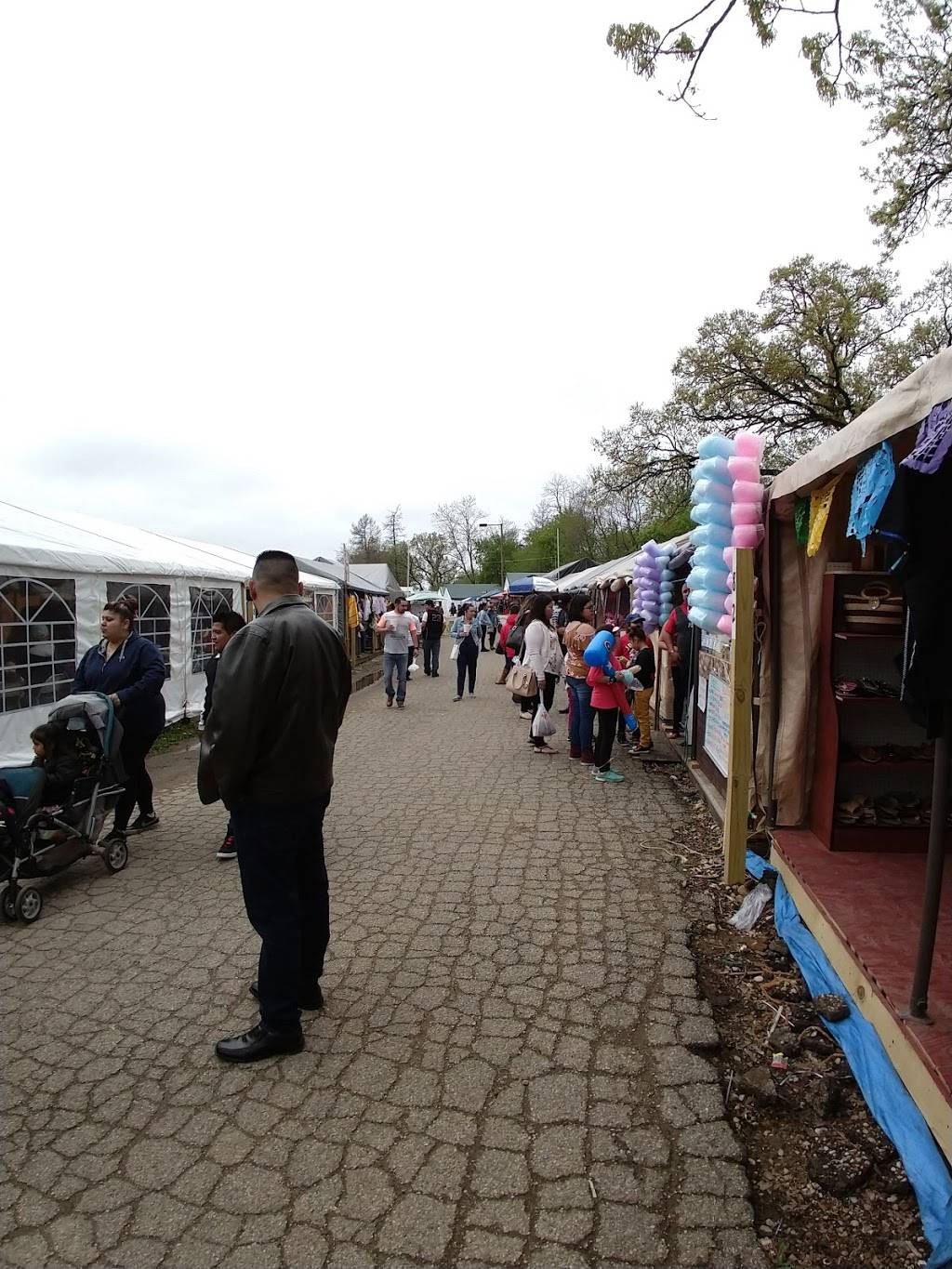 Barbacoa de Borrego echa en Penca de Maguey 100% D.F. | restaurant | Dundee Township, IL 60118, USA | 7734413926 OR +1 773-441-3926