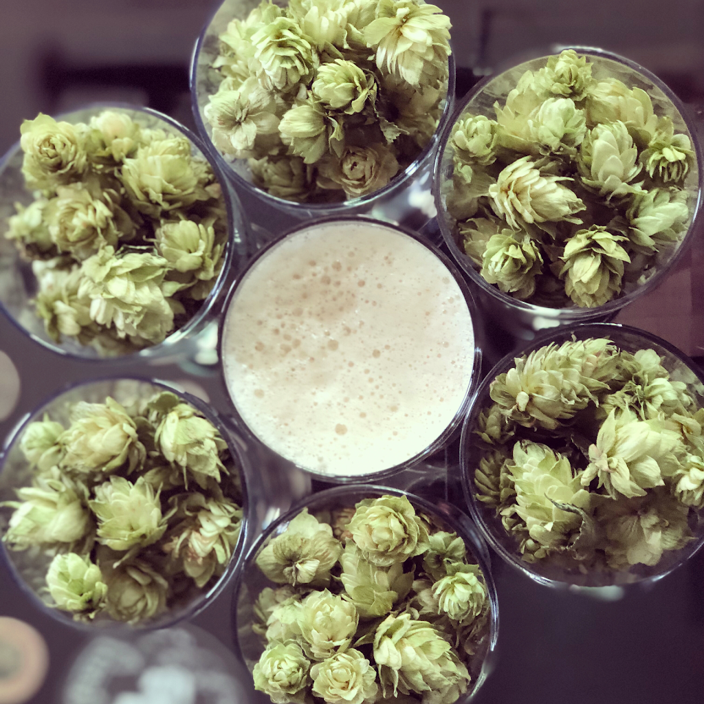 Black Fleet Brewing | restaurant | 2302 Fawcett Ave, Tacoma, WA 98402, USA | 2533271641 OR +1 253-327-1641