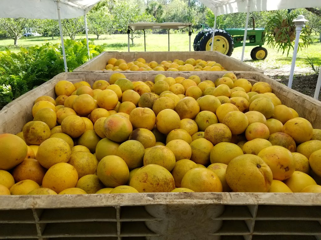 Countryside Citrus Family Farms | restaurant | 6325 81st St, Vero Beach, FL 32967, USA | 7725810999 OR +1 772-581-0999
