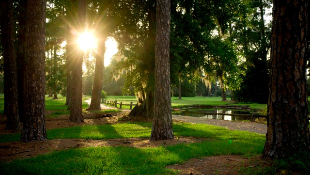 Hyde Park Golf Club | night club | 6439 Hyde Grove Ave, Jacksonville, FL 32210, USA | 9047865410 OR +1 904-786-5410