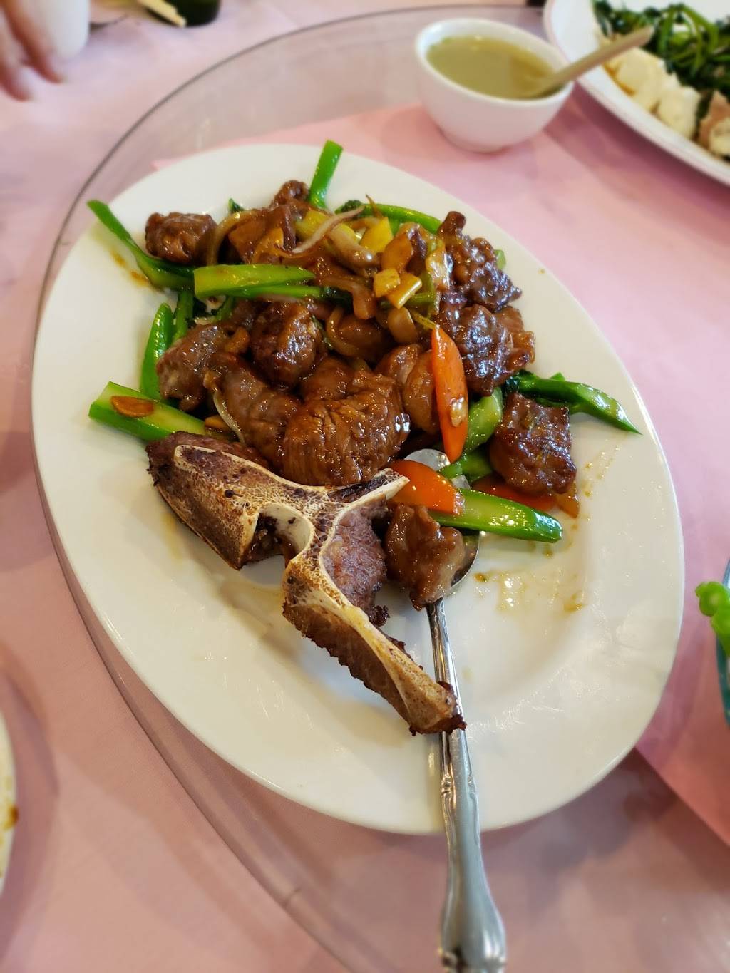 New Yee Li | restaurant | 6619 Fort Hamilton Pkwy, Brooklyn, NY 11219, USA | 7188338373 OR +1 718-833-8373