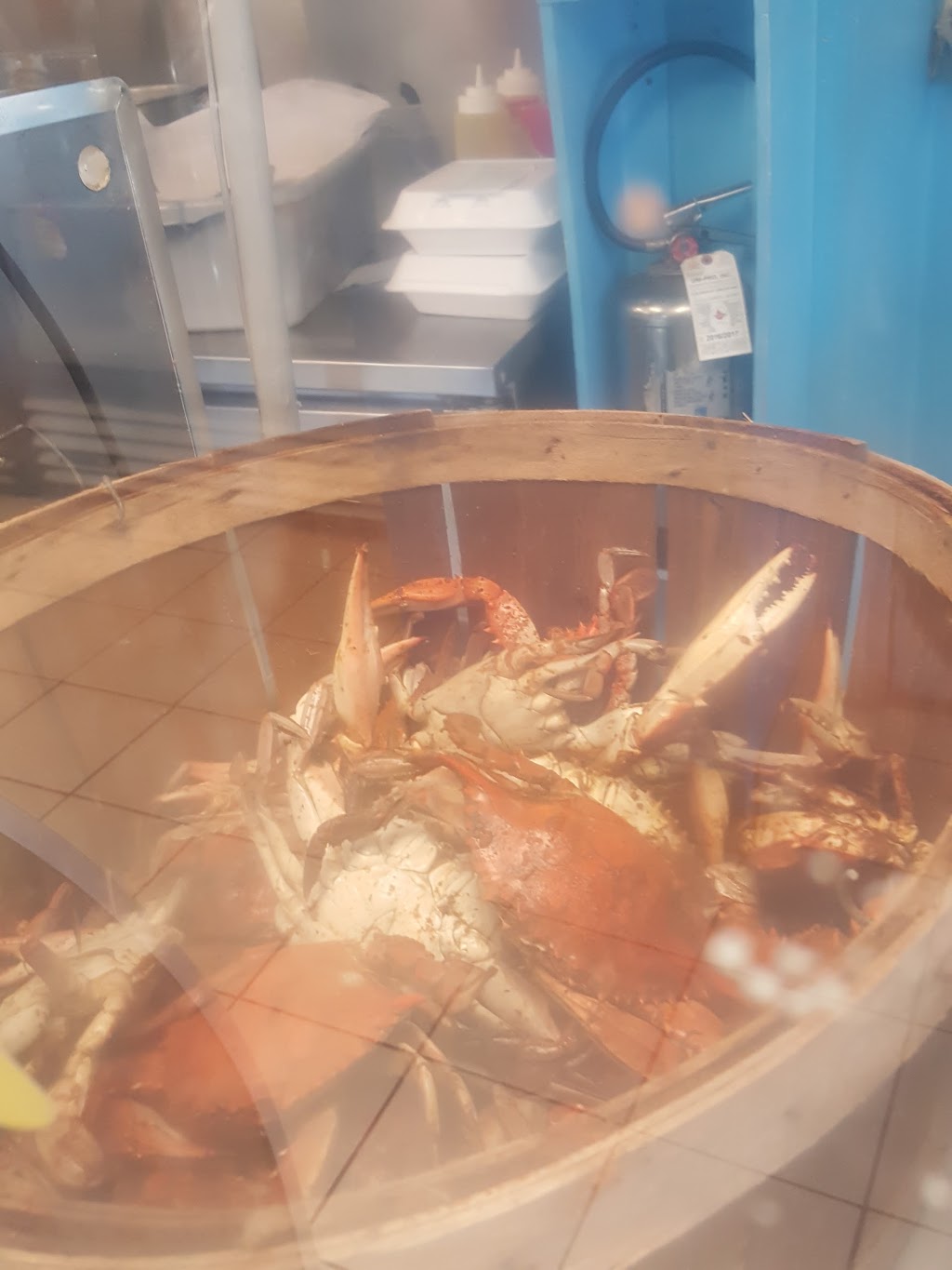 Shellhouse seafood inc. | restaurant | 5040 Belfield Ave, Philadelphia, PA 19141, USA | 2153247310 OR +1 215-324-7310