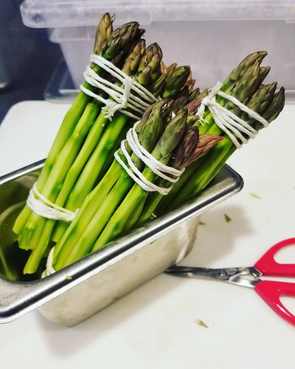 The Mercer OTR | restaurant | 1324 Vine St, Cincinnati, OH 45202, USA | 5134215111 OR +1 513-421-5111