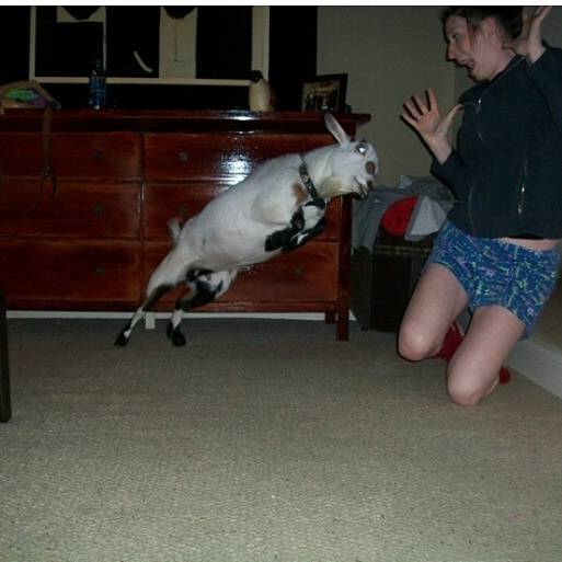 Tops China Restaurant | restaurant | 6829 Forest Hill Ave, Richmond, VA 23225, USA | 8042720139 OR +1 804-272-0139