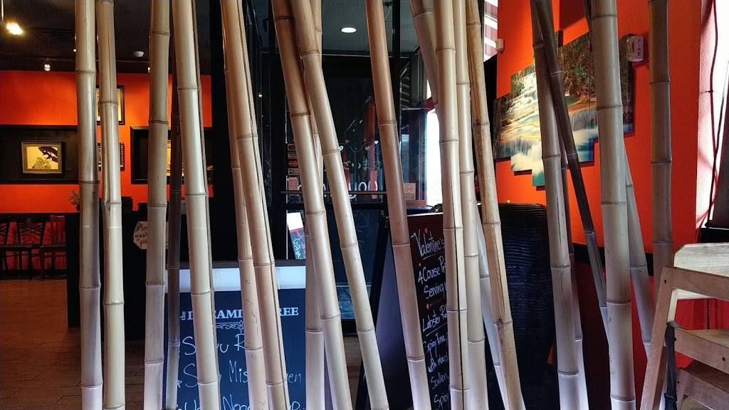 Suzushii Sushi & Grill | restaurant | 915 E.Road To Six Flags Street#103, Arlington, TX 76011, USA | 8174592779 OR +1 817-459-2779