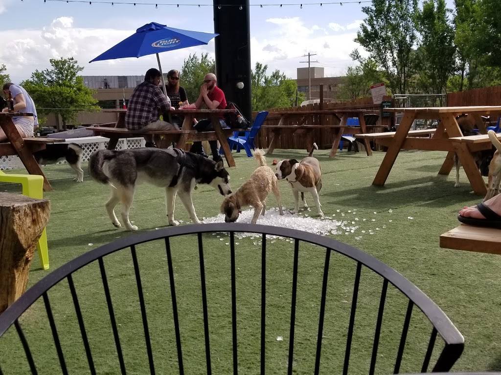 The Watering Bowl | restaurant | 5411 Leetsdale Dr, Denver, CO 80246, USA | 3035919069 OR +1 303-591-9069