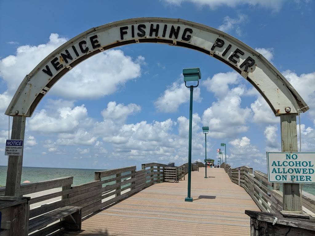 Papa’s Bait & Snack Shop | meal takeaway | 1600 Harbor Dr S, Venice, FL 34285, USA | 9412509193 OR +1 941-250-9193