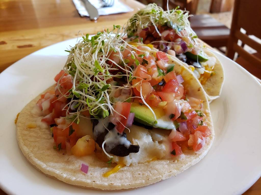 Jungle Cafe | restaurant | 131 Greenpoint Ave, Brooklyn, NY 11222, USA | 3479874981 OR +1 347-987-4981