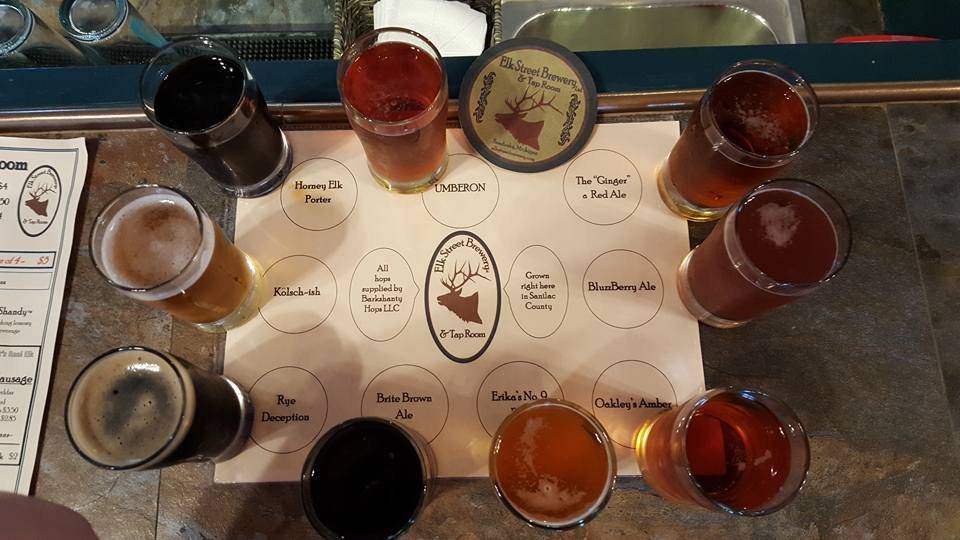 Elk Street Brewery Ltd. & Tap Room | restaurant | 3 S Elk St, Sandusky, MI 48471, USA | 8106481600 OR +1 810-648-1600
